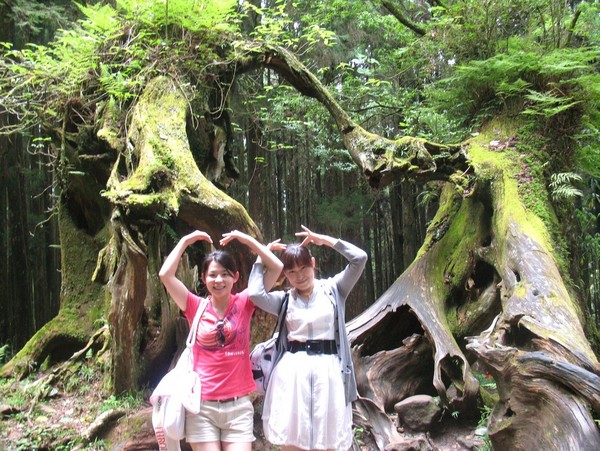 阿里山森林風(fēng)景區(qū)
