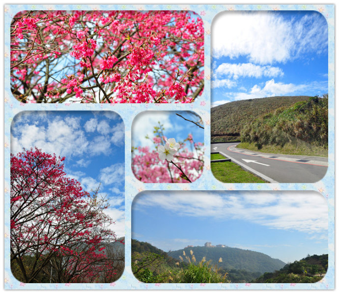 陽明山公園