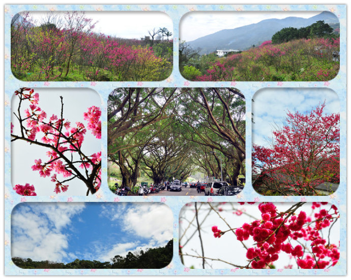 陽明山公園
