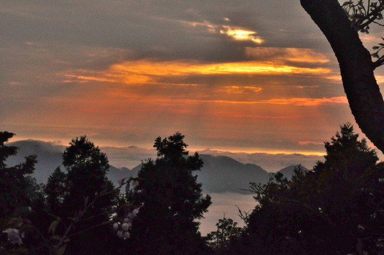<a href='http://m.251994.com/lvyou/view/224' title='阿里山' style='color:blue;font-size:14px;'>阿里山</a> 日出