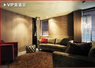 VIP貴賓室，臺北亞立山大時尚整形診所