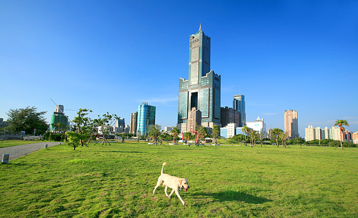 高雄85大樓