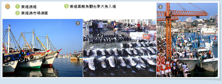 東港魚市場