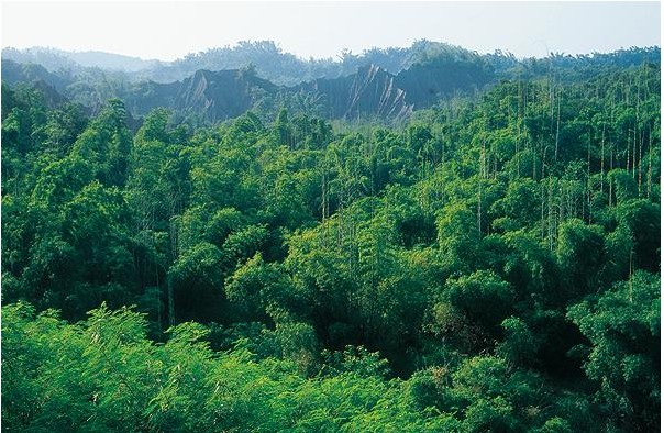 臺南西拉雅風景區(qū)