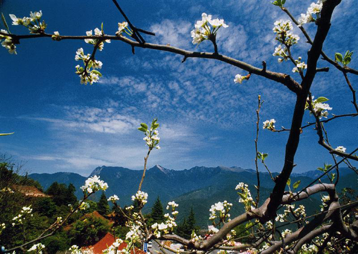 梨山風景區(qū)