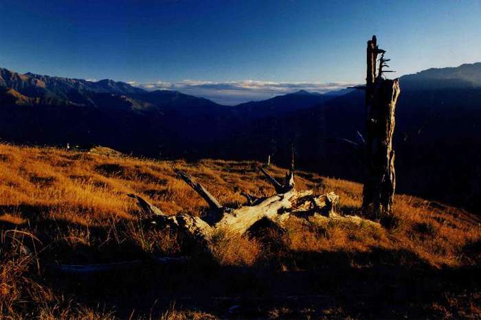 八卦山風景區(qū)