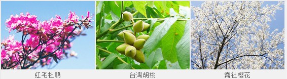 武陵游客中心