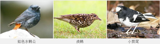 武陵游客中心