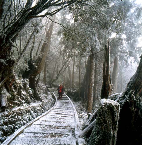 太平山森林游樂區(qū)