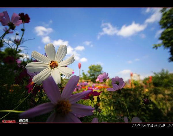 大安森林公園