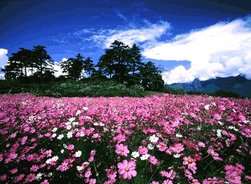 梨山風(fēng)景區(qū)