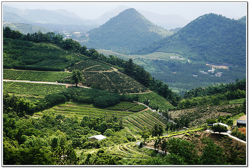 日月潭貓囒山自然步道