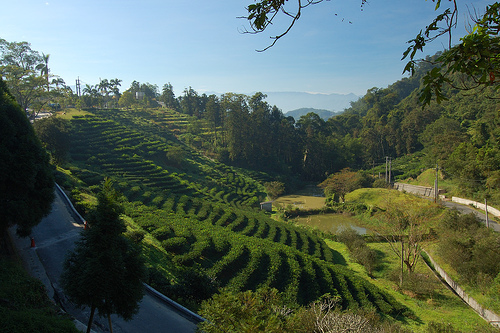 日月潭貓囒山自然步道