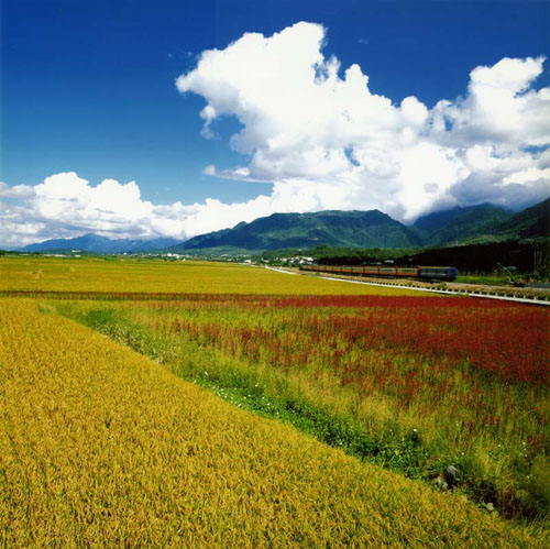 臺(tái)東大坡池美麗風(fēng)景