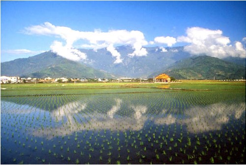 風(fēng)景如畫的大坡池