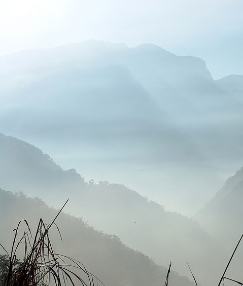 草嶺霧蒙蒙