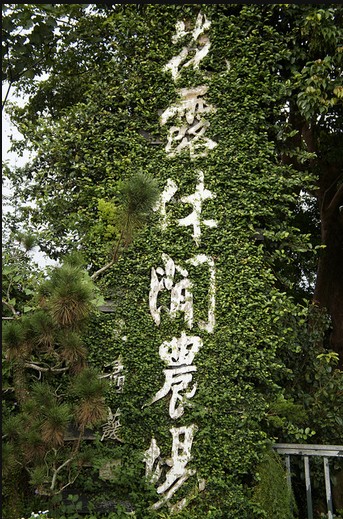 花露農(nóng)場(chǎng)