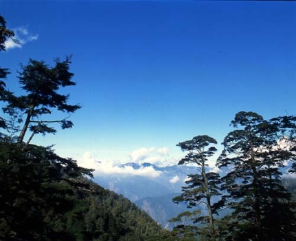 霧鹿峽谷