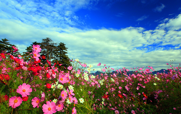 福壽山農場